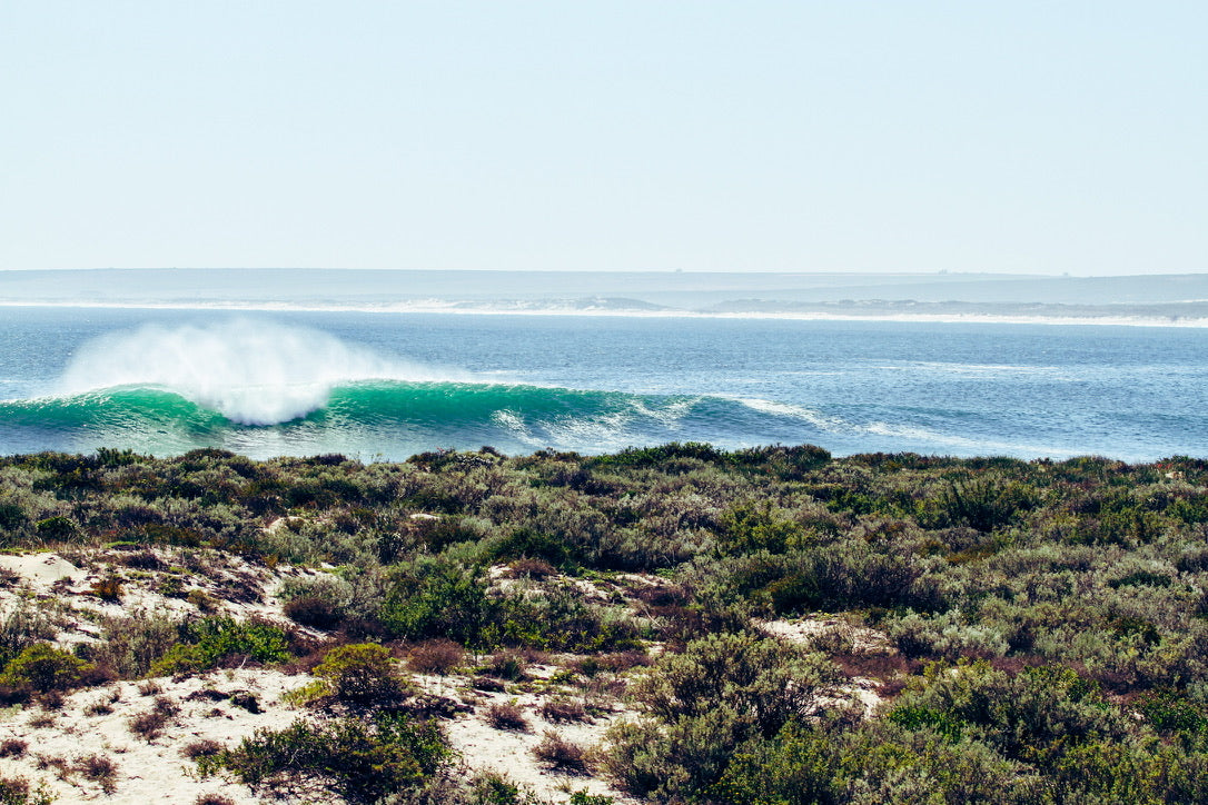 A turquoise wave breaking along a wild, scrub-covered coastline near Cape Town, with sand dunes and the ocean stretching to the horizon