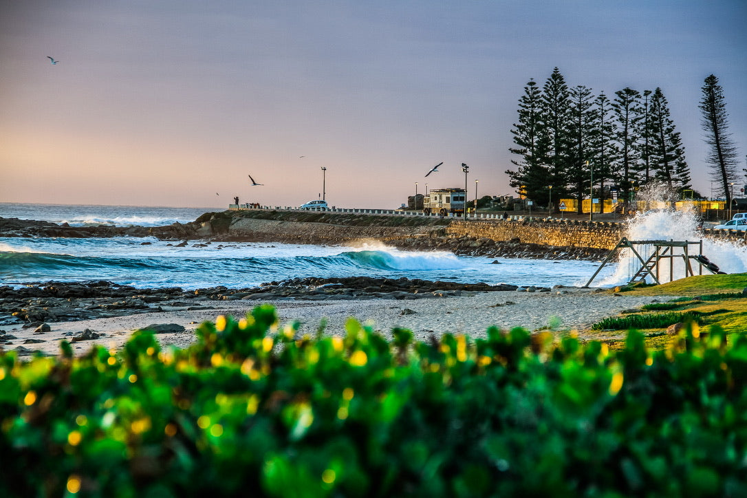 Waves breaking beside a stone pier lined with pine trees at dusk, spray bursting over the sea wall as gulls fly overhead